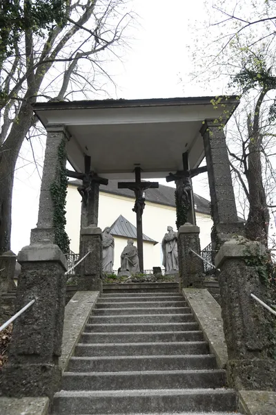 DSC_7014 (Large).JPG